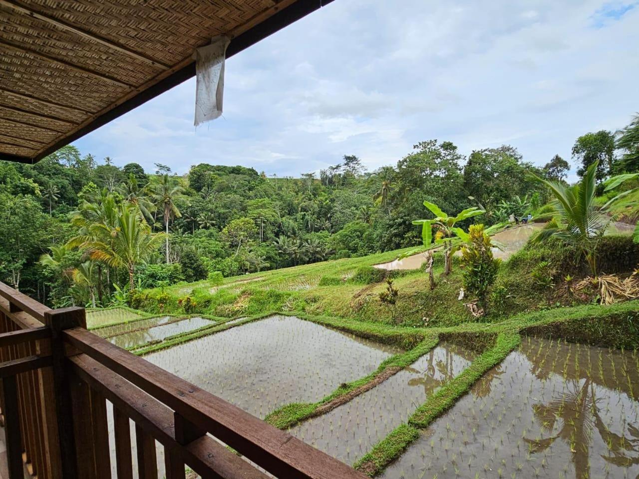 Umauthu Bali Villa Selemadeg Exterior foto