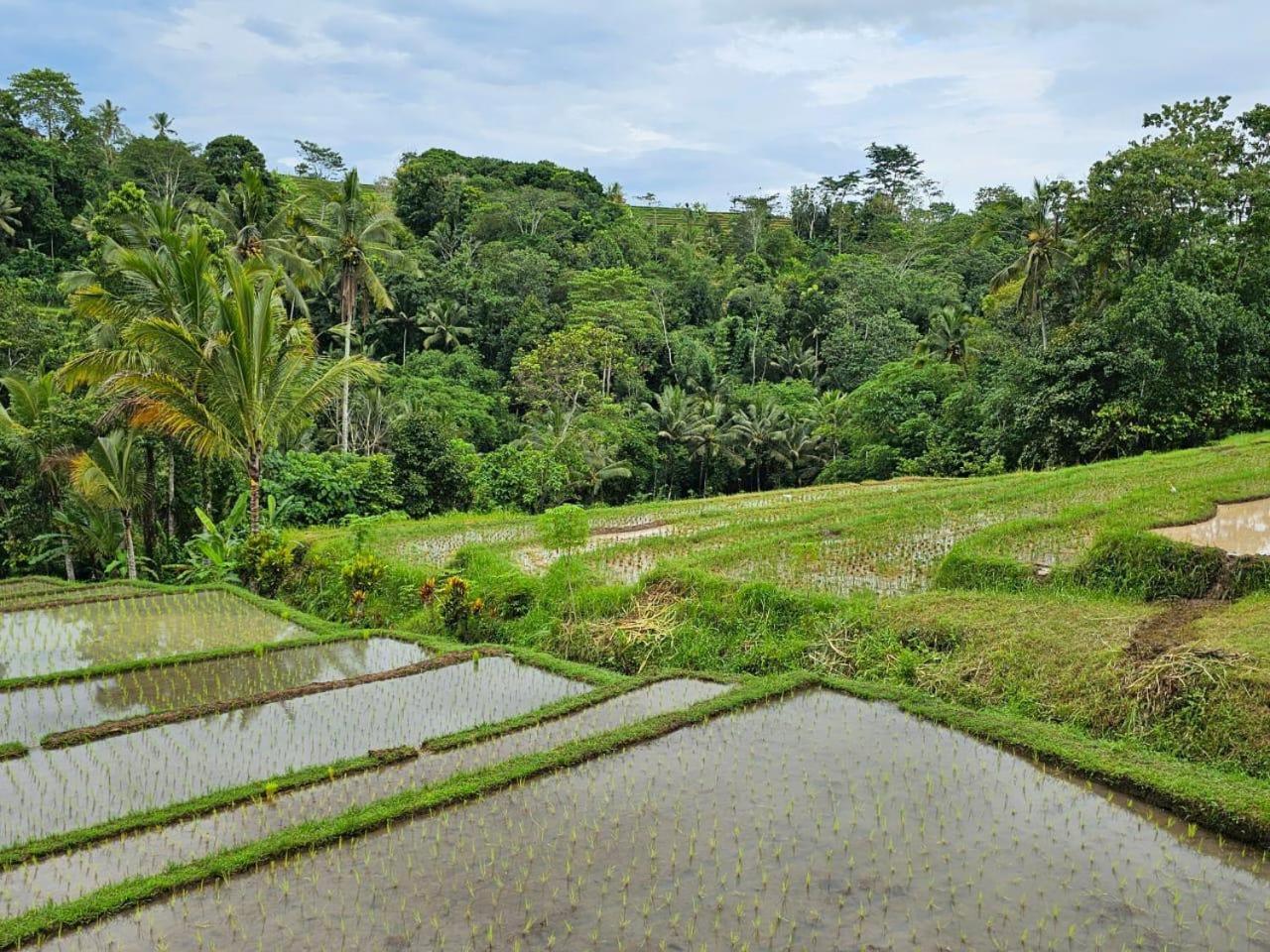 Umauthu Bali Villa Selemadeg Exterior foto